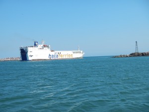 DSCN0517