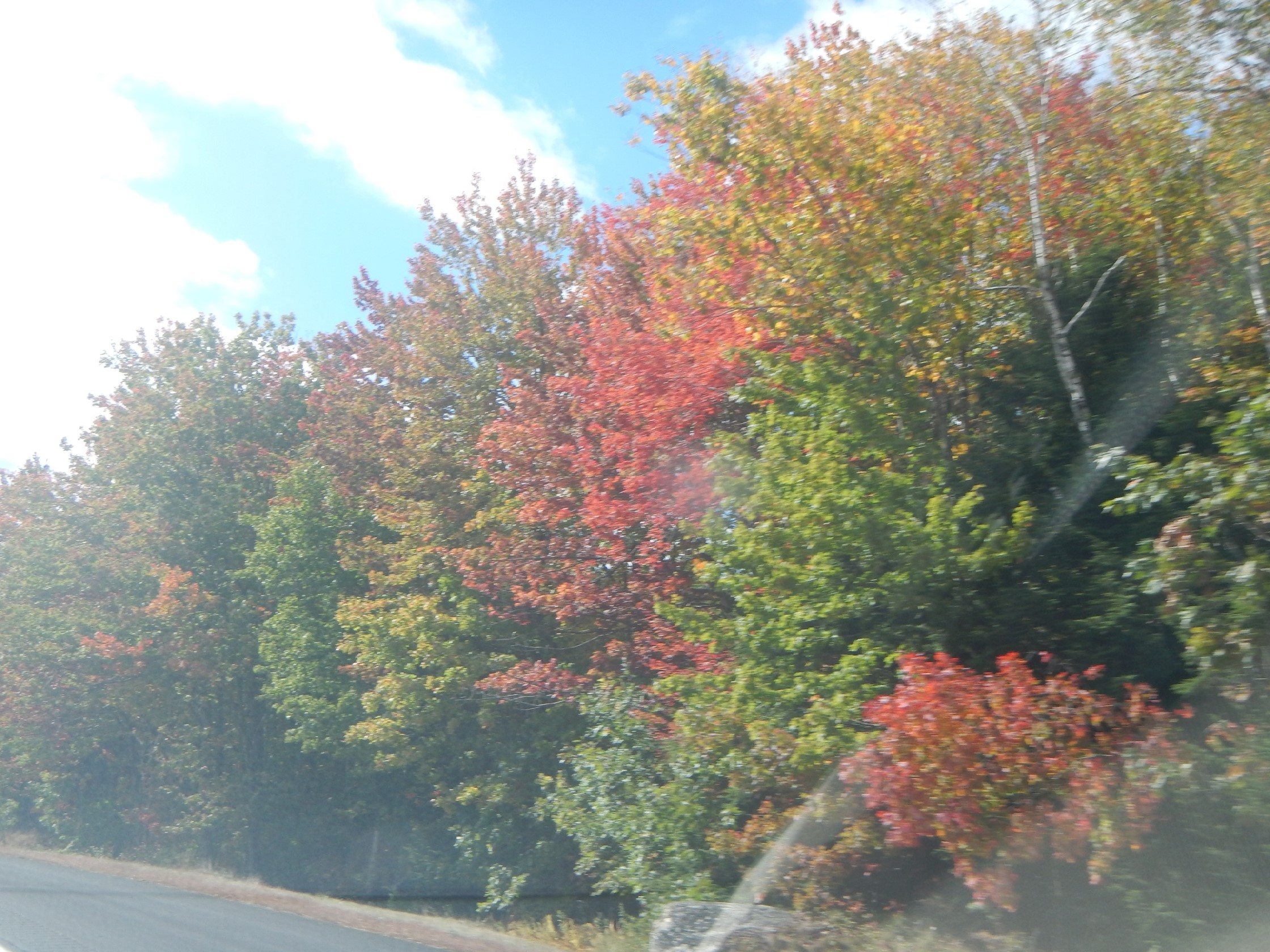 Highway Fall Color